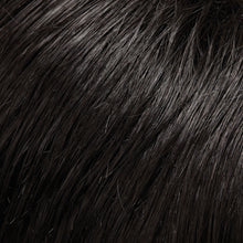 Load image into Gallery viewer, EasiXtend Professional 12"Jon Renau Easihair Collection