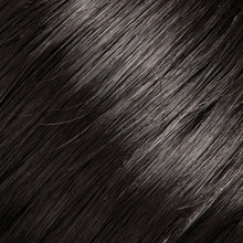 Load image into Gallery viewer, EasiXtend Professional 12"Jon Renau Easihair Collection