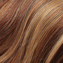 Load image into Gallery viewer, EasiXtend Professional 12"Jon Renau Easihair Collection