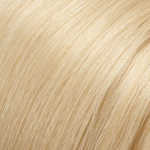 Load image into Gallery viewer, EasiXtend Professional 12"Jon Renau Easihair Collection