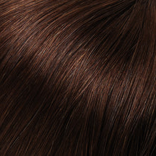 Load image into Gallery viewer, EasiXtend Professional 16" Jon Renau Easihair Collection