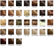 Load image into Gallery viewer, Blake - Jon Renau Smartlace Human Hair