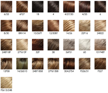 Load image into Gallery viewer, Diane - Jon Renau Smartlace Synthetic