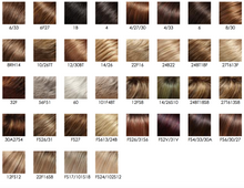 Load image into Gallery viewer, Elizabeth - Jon Renau Heat Defiant HD