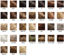Load image into Gallery viewer, Evan - Jon Renau Smartlace Synthetic