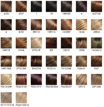 Load image into Gallery viewer, Gisele- Jon Renau Smartlace Synthetic