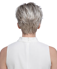 Load image into Gallery viewer, Petite Easton - Estetica Designs Collection in R4/6