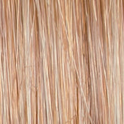 Load image into Gallery viewer, Go To Style - Raquel Welch Signature Collection