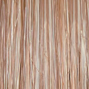 Load image into Gallery viewer, Go To Style - Raquel Welch Signature Collection