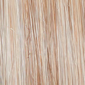 Load image into Gallery viewer, On In 10 - Raquel Welch Signature Collection