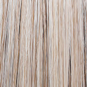 Load image into Gallery viewer, On In 10 - Raquel Welch Signature Collection