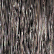 Load image into Gallery viewer, On In 10 - Raquel Welch Signature Collection