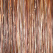 Load image into Gallery viewer, Untold Story - Raquel Welch Signature Collection