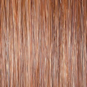 Load image into Gallery viewer, Go To Style - Raquel Welch Signature Collection