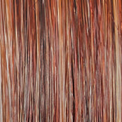 Load image into Gallery viewer, On In 10 - Raquel Welch Signature Collection