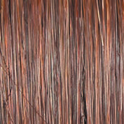 Load image into Gallery viewer, On In 10 - Raquel Welch Signature Collection