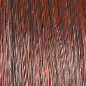 Load image into Gallery viewer, Go To Style - Raquel Welch Signature Collection