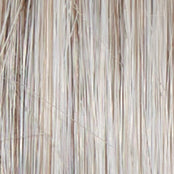 Load image into Gallery viewer, Untold Story - Raquel Welch Signature Collection