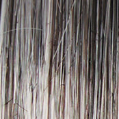 Load image into Gallery viewer, Crushing on Casual Elite - Raquel Welch Signature Collection