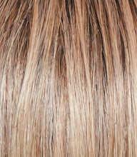 Load image into Gallery viewer, Stroke of Genius - Raquel Welch Signature Collection