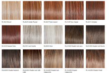 Load image into Gallery viewer, Simmer Elite - Raquel Welch Signature Collection