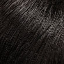 Load image into Gallery viewer, Carrie Hand Tied- Jon Renau Smartlace Human Hair
