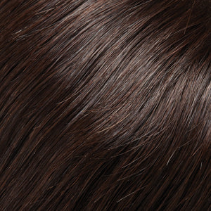 EasiPieces 12" L x 4" W Jon Renau Easihair Collection