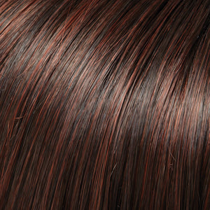 EasiPieces 12" L x 4" W Jon Renau Easihair Collection