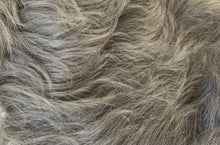 Load image into Gallery viewer, Dixie -  Amore Collection René of Paris
