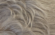 Load image into Gallery viewer, Dixie -  Amore Collection René of Paris
