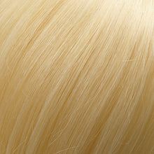 Load image into Gallery viewer, EasiPieces 12&quot; L x 4&quot; W Jon Renau Easihair Collection
