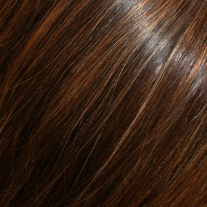 EasiPieces 12" L x 4" W Jon Renau Easihair Collection