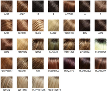 Load image into Gallery viewer, Kim - Jon Renau Smartlace Human Hair
