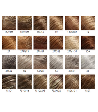 Load image into Gallery viewer, Allure - Jon Renau Classic Collection
