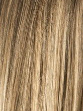Load image into Gallery viewer, Affair Hi - Ellen Wille Hair Society Collection
