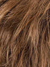 Load image into Gallery viewer, Desire- Ellen Wille Hair Society Collection
