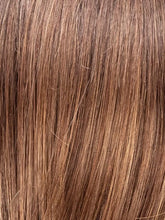 Load image into Gallery viewer, Devine- Ellen Wille Hair Society Collection

