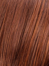 Load image into Gallery viewer, Devine- Ellen Wille Hair Society Collection
