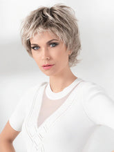 Load image into Gallery viewer, Vanity - Ellen Wille Hair Society Collection
