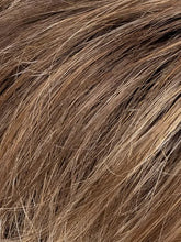 Load image into Gallery viewer, Satin - Ellen Wille Hair Society Collection
