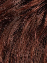 Load image into Gallery viewer, Spa - Ellen Wille Hair Society Collection
