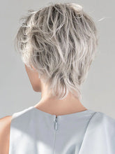 Load image into Gallery viewer, Satin - Ellen Wille Hair Society Collection
