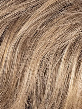 Load image into Gallery viewer, Satin - Ellen Wille Hair Society Collection

