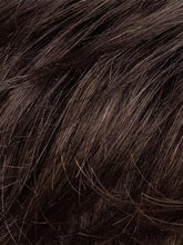 Load image into Gallery viewer, Satin - Ellen Wille Hair Society Collection
