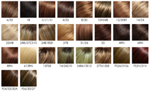 Load image into Gallery viewer, Top Style HH 18&quot; - Jon Renau Topper
