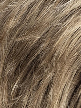 Load image into Gallery viewer, Vanity - Ellen Wille Hair Society Collection
